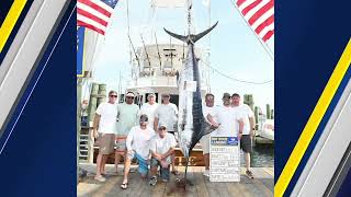 Big Rock Blue Marlin Tournament in Morehead City, NC after anglers disqualified