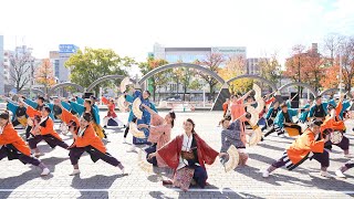 勝山組 📍四日市よさこい祭り (市民公園会場) 2023-11-26T11:30