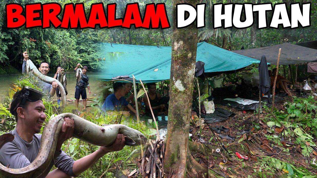 2 Malam Di Rimba Belantara Berburu Ikan Hasilnya Memuaskan