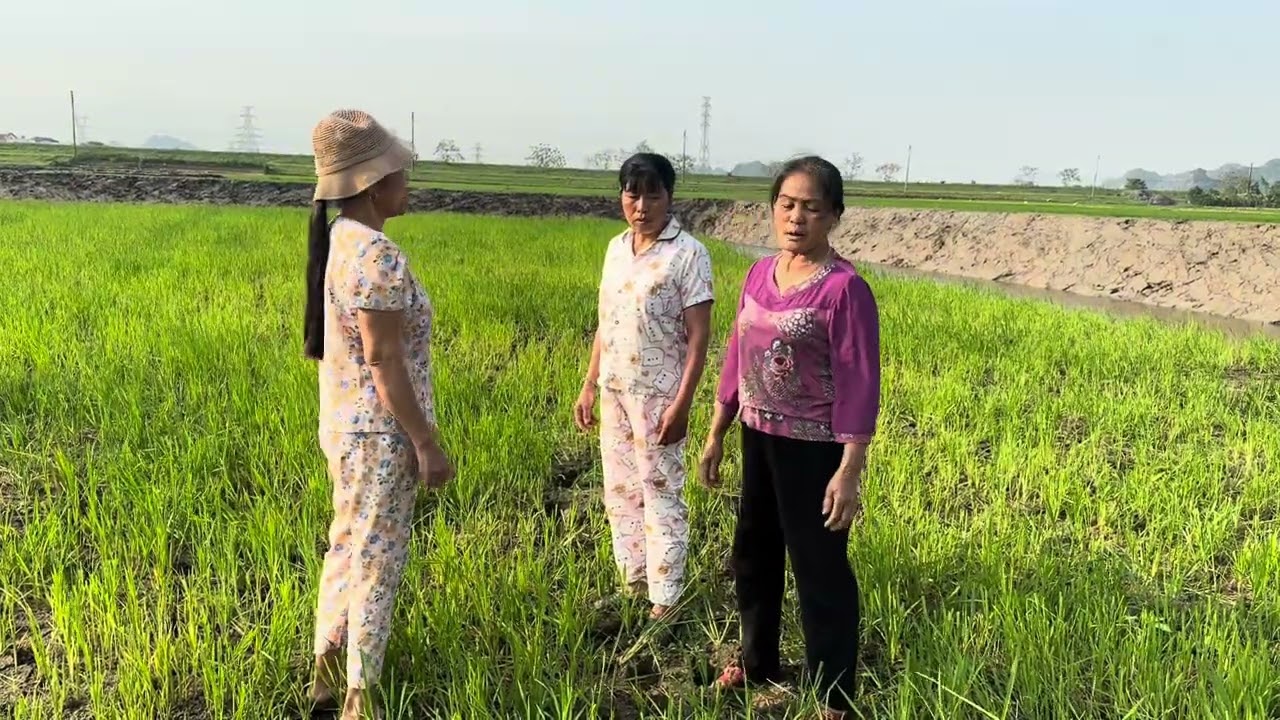 Ba que bảo đền dam cho bà quyển là song 