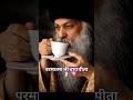 चाय और होश: ओशो की जुबानी। 🫖 #osho #viralvideo