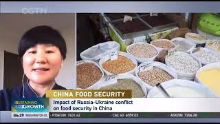 Academic: Russia-Ukraine conflict has limited impact on China's food security