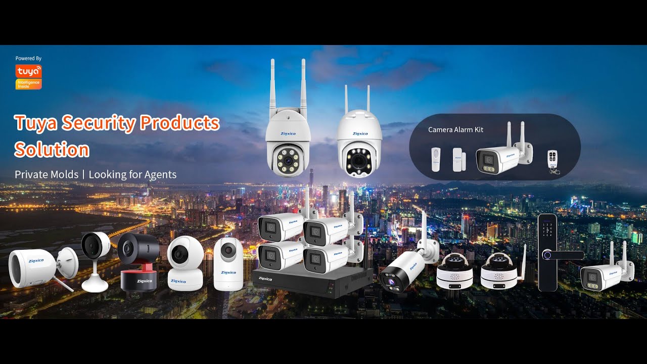 Tuya Indoor Tracking Cloud 360 Degree Voice Talk Baby Monitor Surveillance Cameras Human Detection W