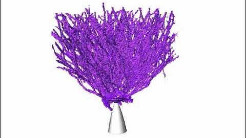 Electrical tree 3-D X-ray tomography