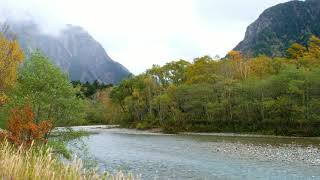 Perfect Lake Sounds 8 Hours For The Best Sleep