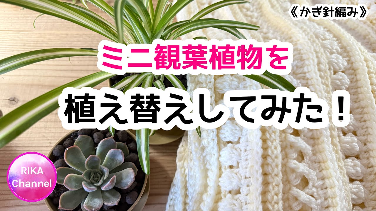 🪴The manager was astonished by the roots of the spider plant! [I