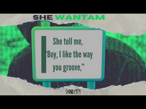 SHE WANTAM LYRIC VIDEO 