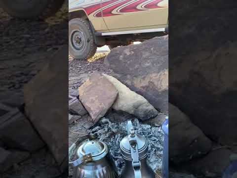 الوعل يتمشى في الجبال بدون خوف