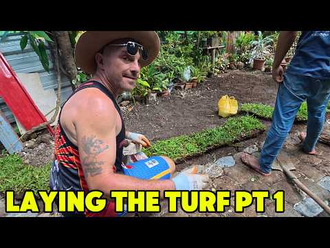 We Started Laying Our Carabao Grass Turf