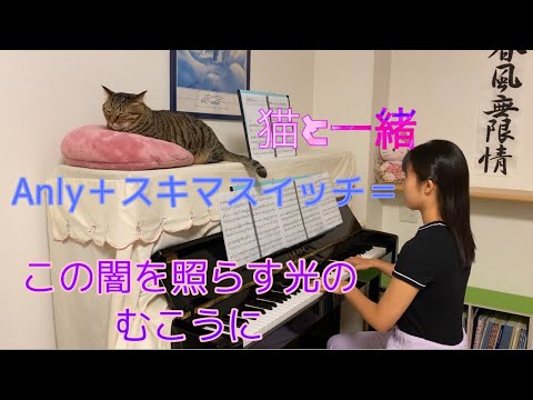 Anly➕スキマスイッチ＝『この闇を照らす光のむこうに』ピアノ 〜猫と一緒〜