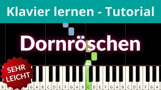 Dornröschen | Klavier lernen - sehr leicht, Anfänger Tutorial ♫ Felicitas Falke ♫