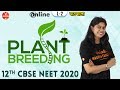 Neet Biology LIVE | Enhancement in Food Production - 2 | Plant Breeding | Class 12 | Ankita Ma'am