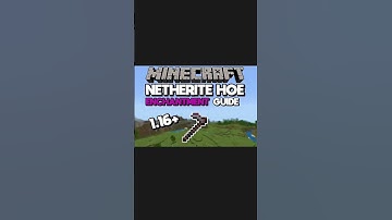 Minecraft netherite hoe shorts