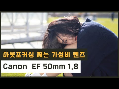 캐논 입문자라면 무조건 사야 할 가성비 렌즈 EF 50mm 1.8 / 아웃포커싱, 밝은 조리개 