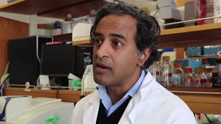 Washu Innovates: Drs. Milan Chheda & Michael Diamond Resimi