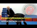 3shaolin pu bu qi zhang