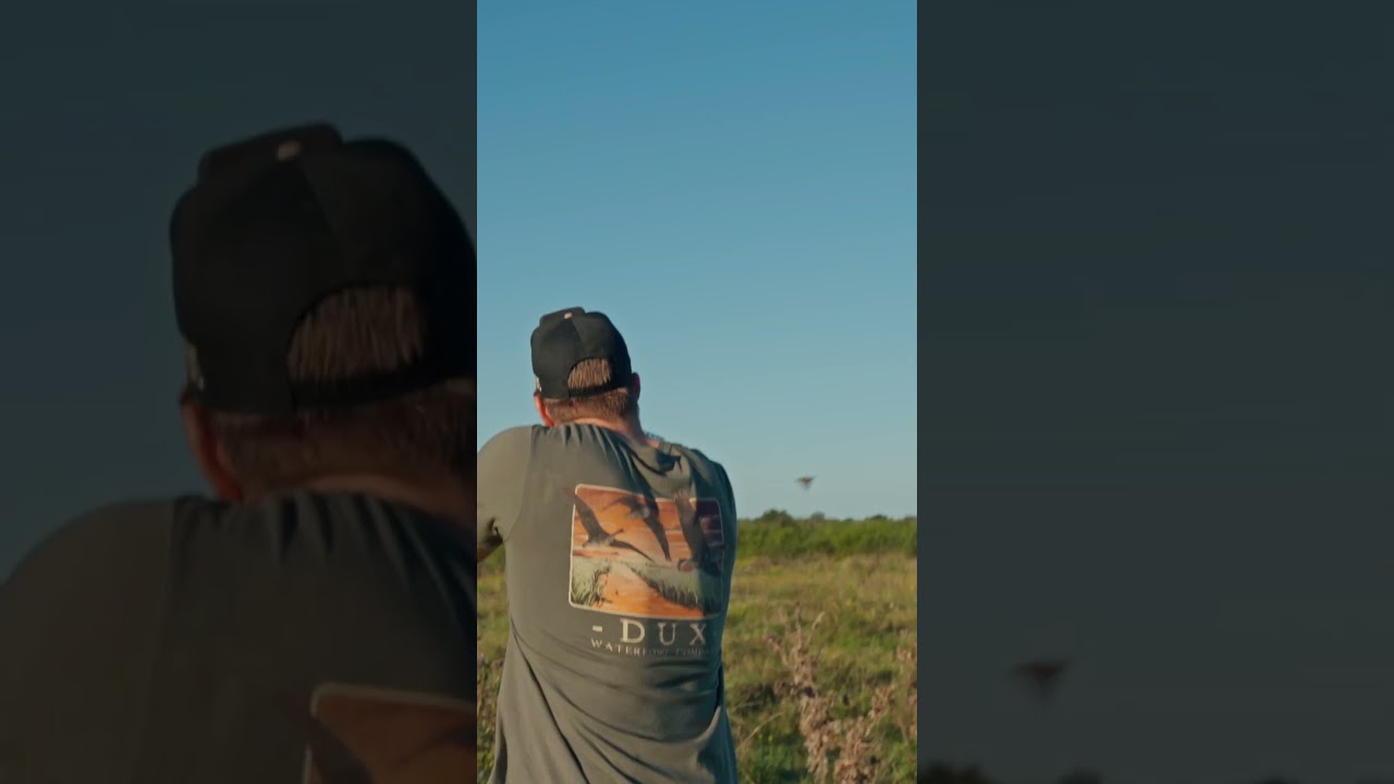 Epic Argentina Partridge Hunt