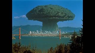 Who Planted The Great Trees