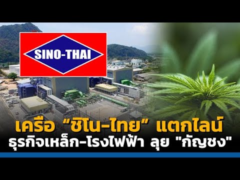 TF News | เครือ "ชิโน-ไทย" แตกไลน์ธุรกิจเหล็ก-โรงไฟฟ้า ลุย "กัญชง"