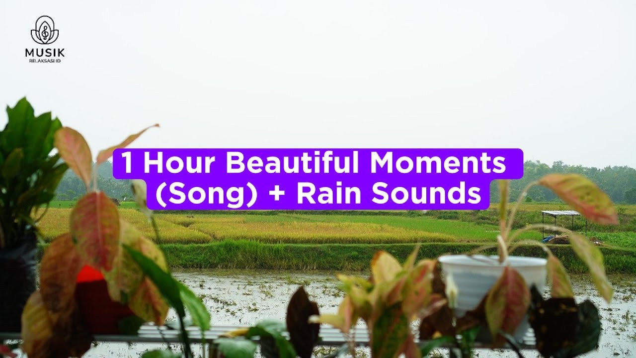 RELAXING 1 HOUR BEAUTIFUL MOMENTS (SONG) + RAIN SOUNDS