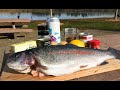 MOST DELICIOUS TROUT CATCH AND COOK | Fresh Water Fishing