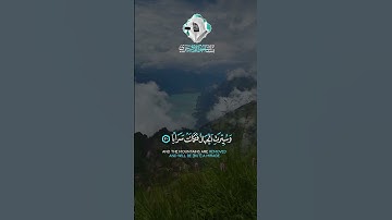 ياسر الدوسري 🤍تلاوة هادئة 🌿🥹أرح سمعك 🎧 #quran #اكسبلور #حالات_واتس #قرآن #قران_كريم #قرآن_كريم#ترند