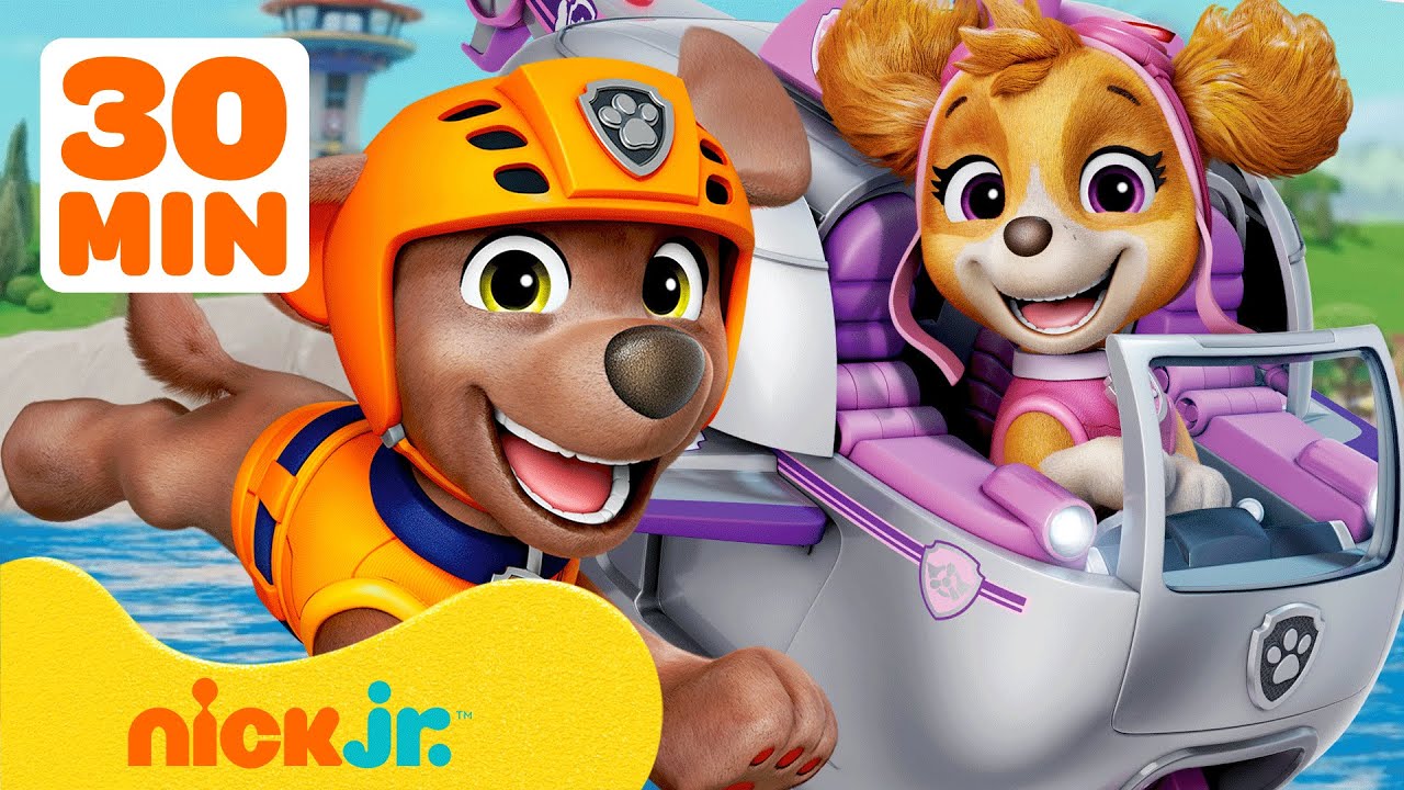 PAW Patrol Air & Sea Rescues! w/ Skye and Zuma | 30 Minutes | Nick Jr.