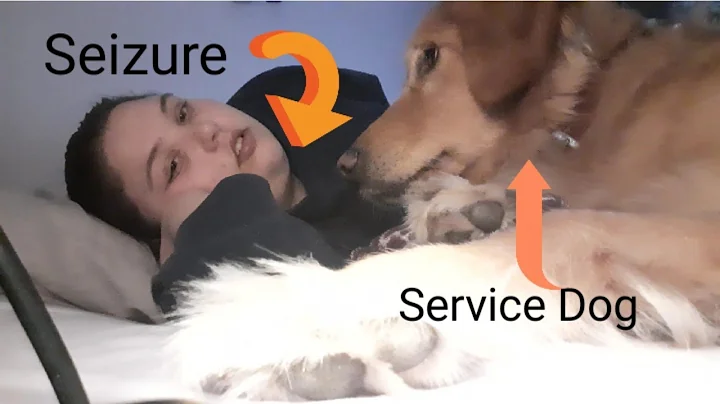 My Service dog alerting to a seizure! | #epilepsy