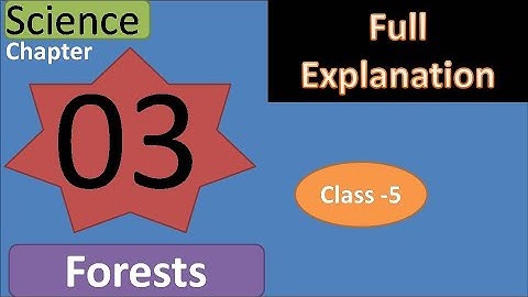DAV class 5 science chapter 3 Forests