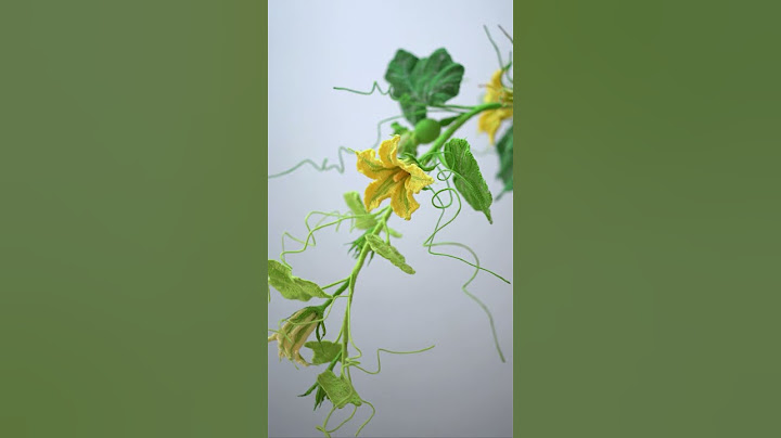 南瓜花吹起金色的小喇叭，寬大的身體里充滿着希望 - 天天要聞