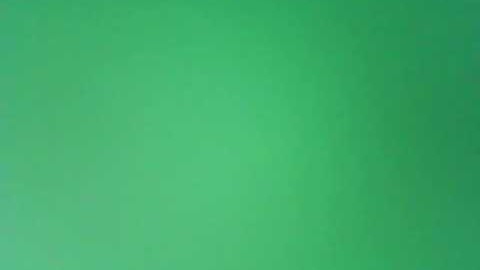 Sandin v Conner Hawaii 1995