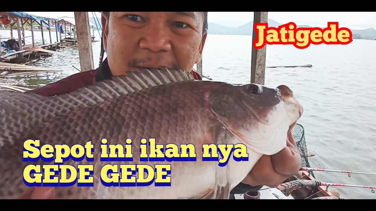 Sepot kedalaman 4meter ikan nya besar besar,!! Mancing Waduk jatigede