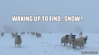 IT SNOWED! MELTING FAST + A MUDDY MESS by Dale Farm 7,830 views 5 months ago 18 minutes