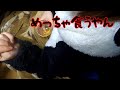 嫁が冗談で欲しいって言った物、全部マジで買って帰った結果