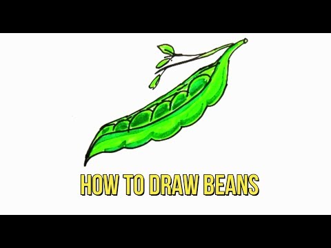 How To Draw a BEANS | Step by Step guide | For Beginners | Child Drawing | Kids Art #39