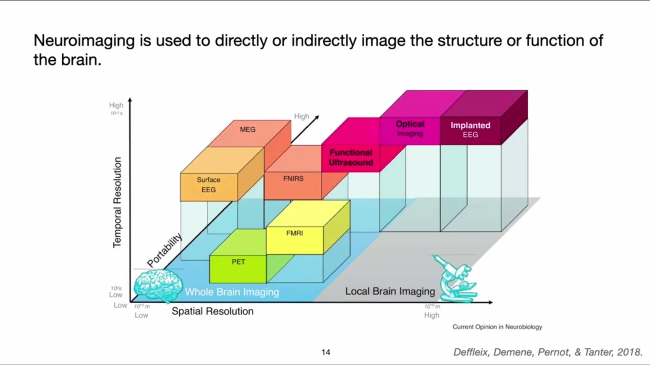 Dr. Elvisha Dhamala (Yale Univ.): "Insights Into Brain-Behaviour Relationships"