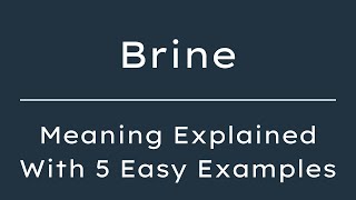 Brine Meaning in English With 5 Example Sentences, Brine Meaning in English