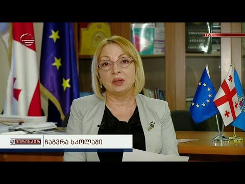 განათლების მინისტრის მოადგილე ლია გიგაური გადაცემაში პირისპირ