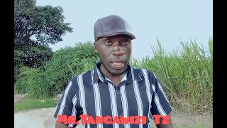 Muda wa kupanda Tangawizi huu hapa*Lima Tangawizi*BBT Tanzania #ginger farm Muda wa kupanda Tangawizi huu hapa*Lima Tangawizi*BBT Tanzania #ginger farm