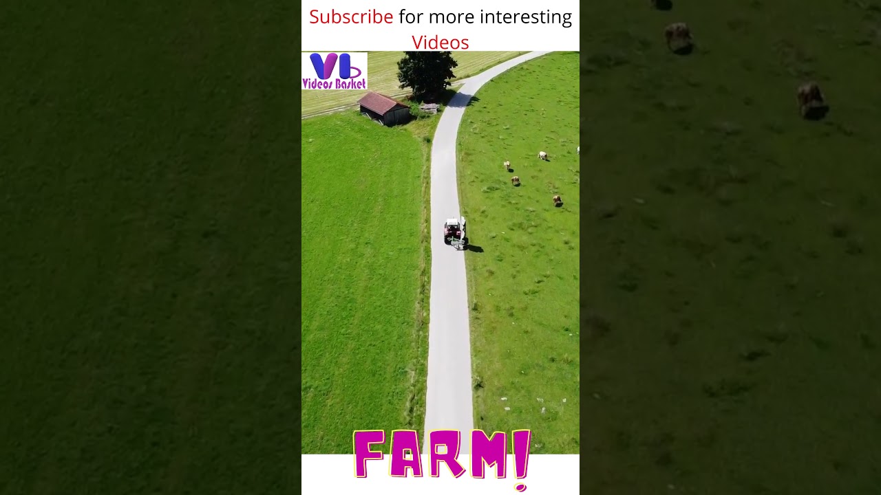 silent farm | Beautiful Farm