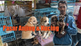 Pasar Anjing dan Kucing Bandung  ตลาดสุนัขและแมว Jln Rajiman Bandung