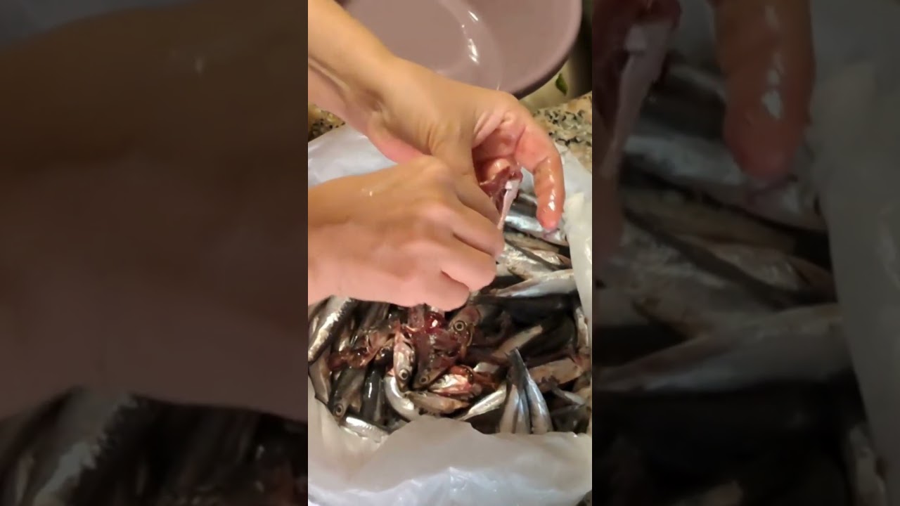 Hamsi Nasıl Ayıklanır? En Hızlı Pratik Yöntem! Nazo kadın yaptı🐟#VAYanısına #shorts #balıktemizleme