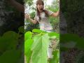 May Mắn Thoát Nạn Khi Đi Rừng Kiếm Củi#funny #shorts