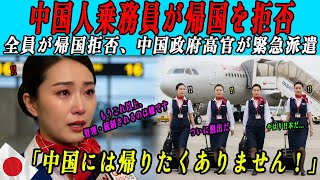 Download Lagu 【海外の感動話】中国人乗務員、日本での初体験後に「全員が帰国を拒否」中国の航空業界が大騒然！CNN・BBCがついに声明を発表した... MP3