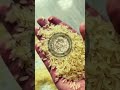 PR 14 Golden Sella Non-Basmati Rice (AGL : 6.90MM) #viral #rice #ricemills