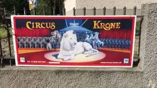 Circus Krone (Evolution) - Friedrichshafen  (D) 2016