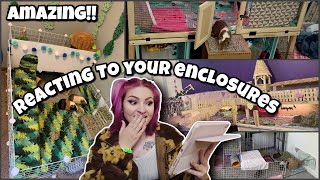 reacting to my subs AMAZING guinea pig cages