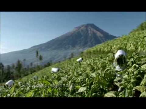 Djarum Coklat TVC 2014 - Anugerah Alam Indonesia 30\