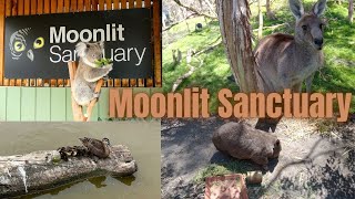 Moonlit Sanctuary Wildlife Conservation Park, Pearcedale VIC ,Australia