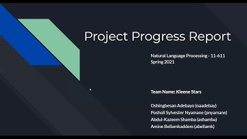 NLP Project Progress Report